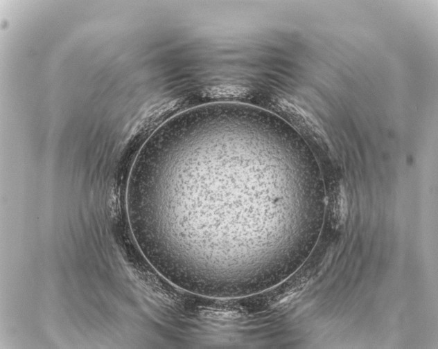 X0000087060743200704251029