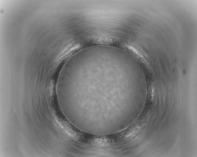 X0000087060744200704251029