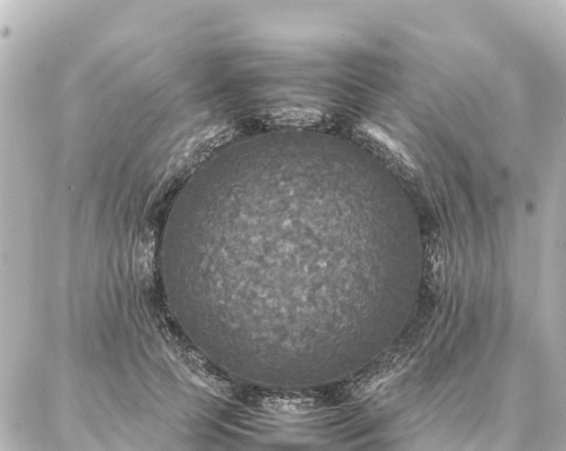 X0000087060745200704251029