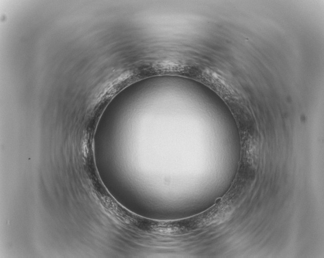 X0000087060746200704251029