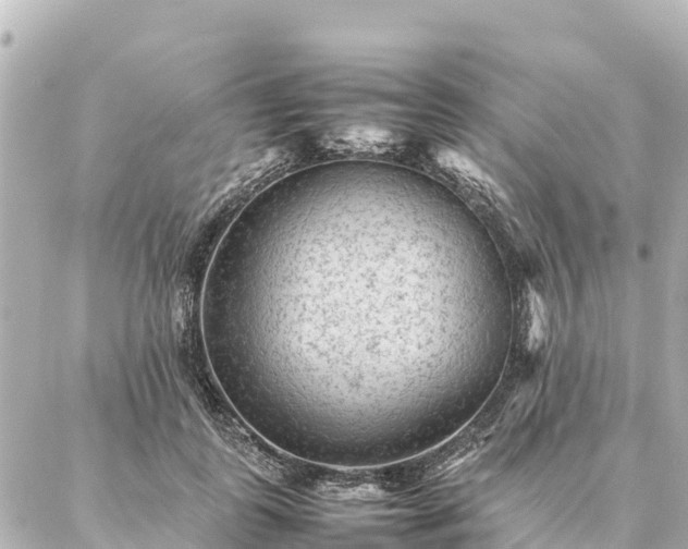 X0000087060747200704251029