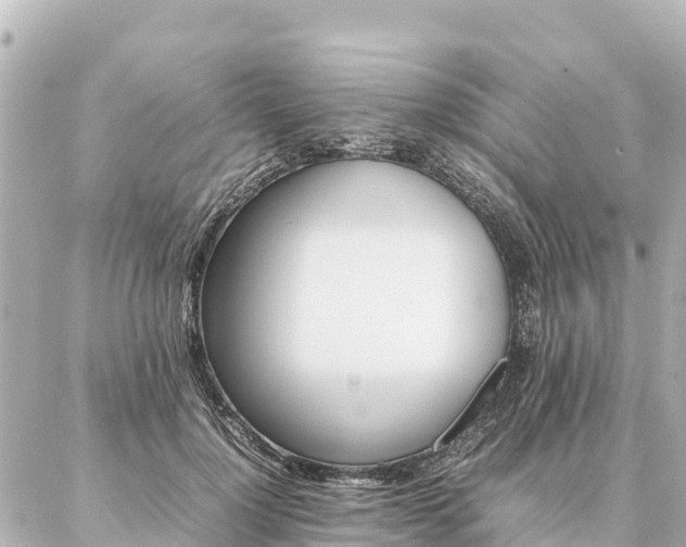 X0000087060748200704251029