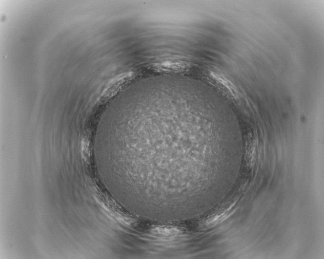 X0000087060749200704251029