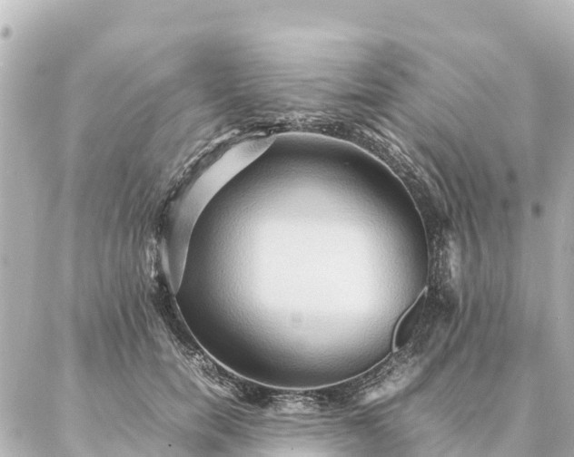 X0000087060750200704251029