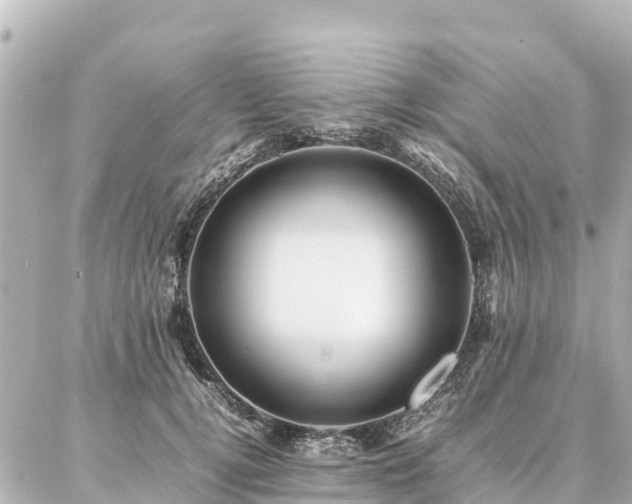 X0000087060752200704251029