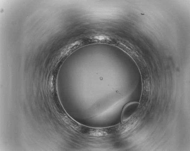 X0000087060754200704251029