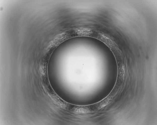 X0000087060755200704251029