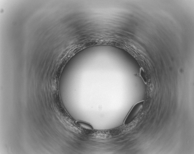 X0000087060756200704251029