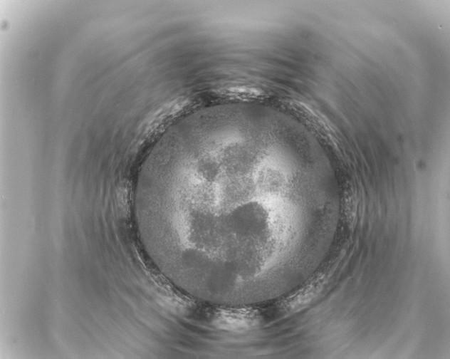 X0000087060757200704251029