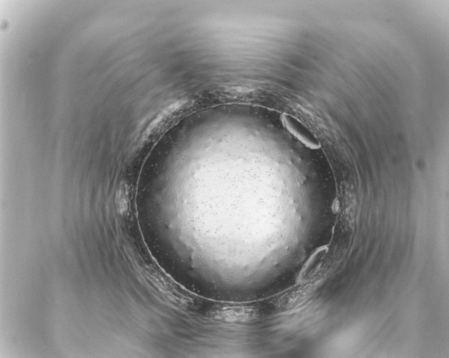 X0000087060758200704251029