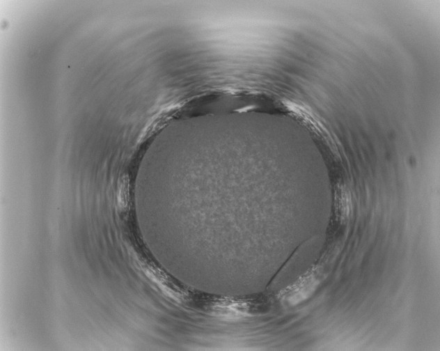 X0000087060760200704251029