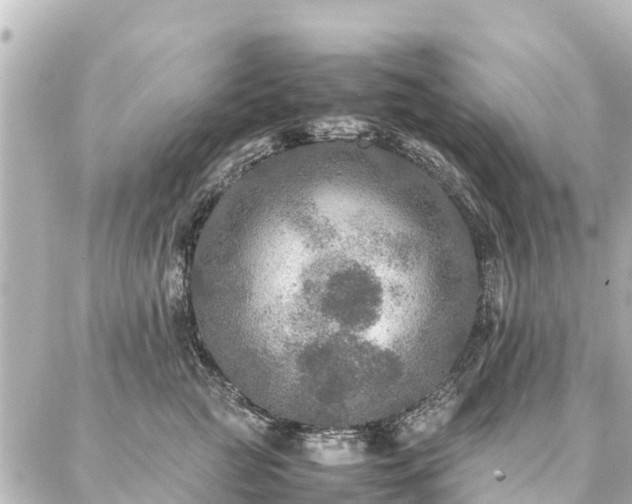 X0000087060761200704251029