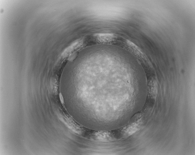 X0000087060762200704251029