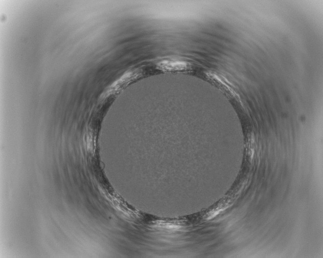 X0000087060763200704251029