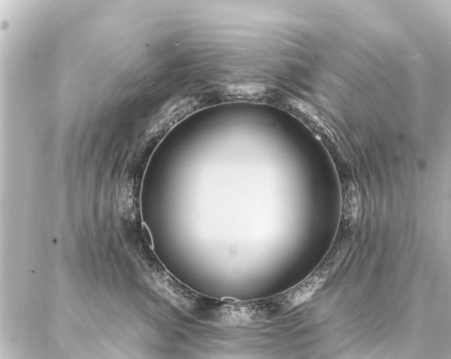 X0000087060764200704251029