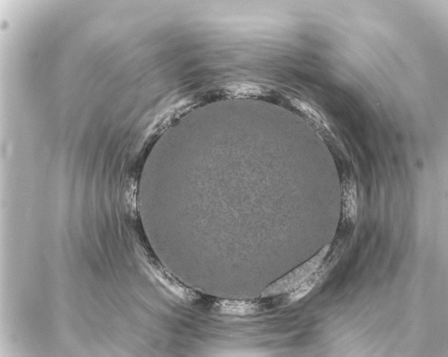 X0000087060766200704251029