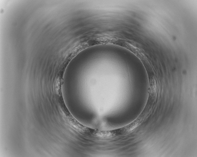 X0000087060767200704251029