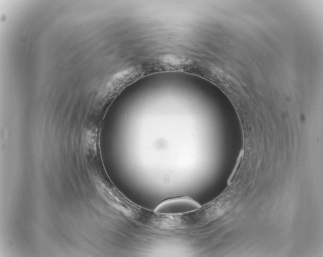 X0000087060768200704251029