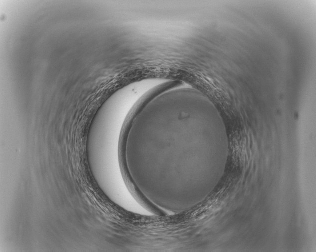 X0000087060769200704251028