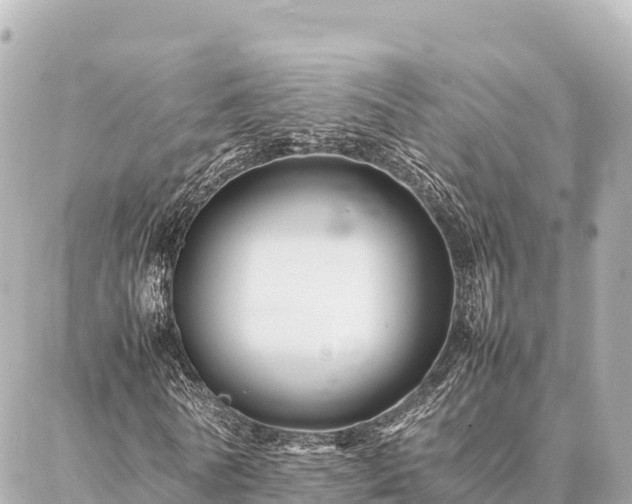 X0000087060770200704251028