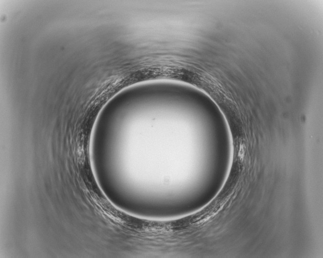 X0000087060771200704251028