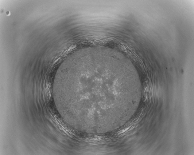 X0000087060772200704251028