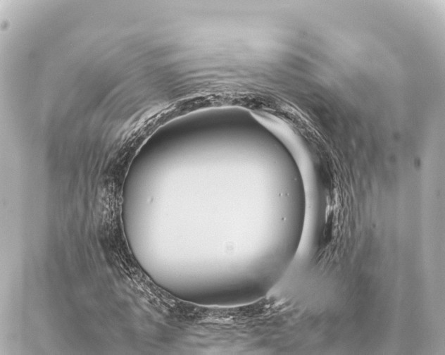 X0000087060773200704251028