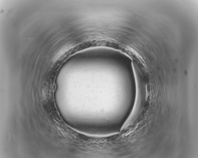 X0000087060775200704251028