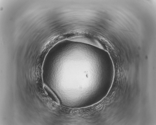 X0000087060776200704251028