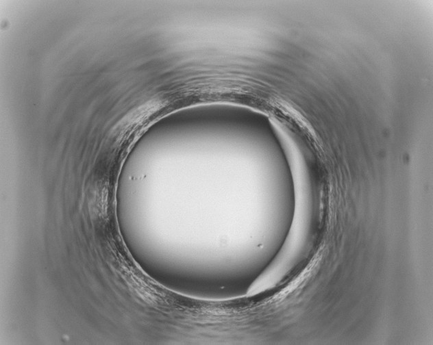 X0000087060777200704251028