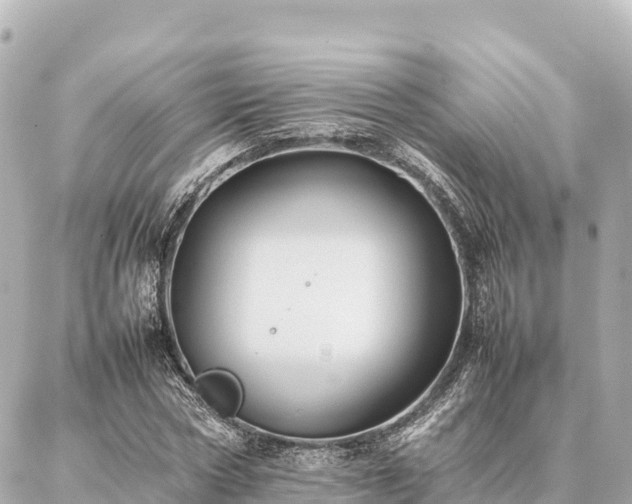 X0000087060778200704251028