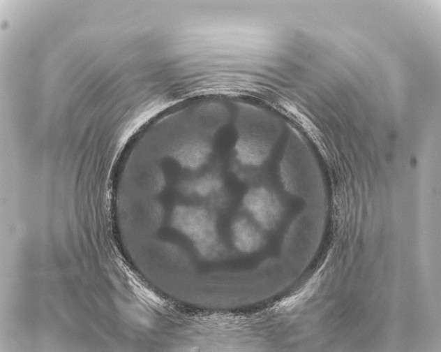 X0000087060779200704251028