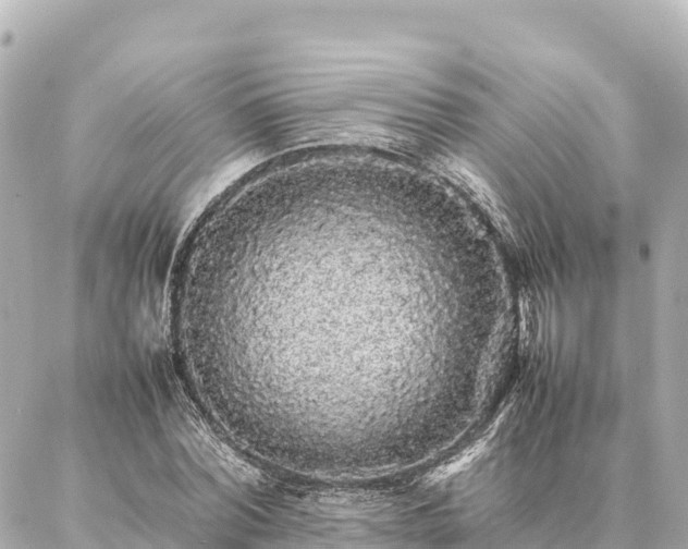 X0000087060780200704251028