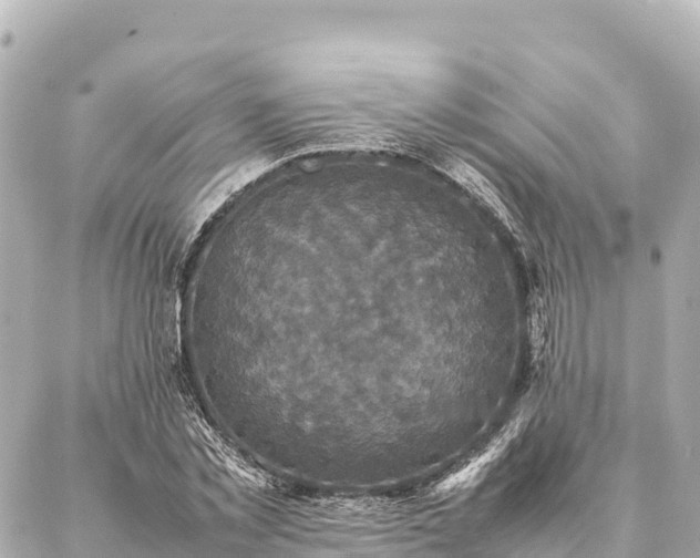 X0000087060781200704251028