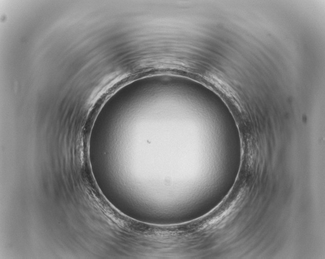 X0000087060782200704251028