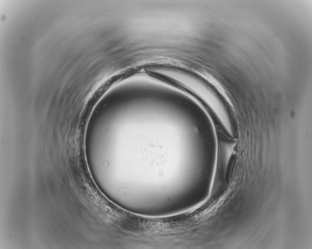 X0000087060783200704251028