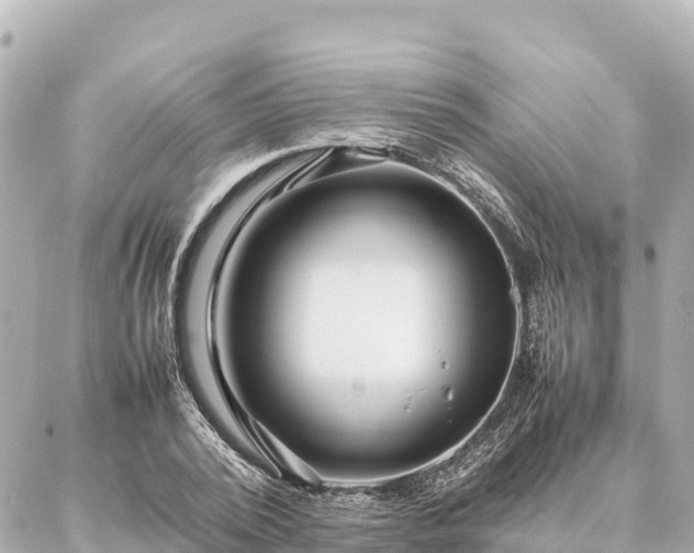 X0000087060784200704251028