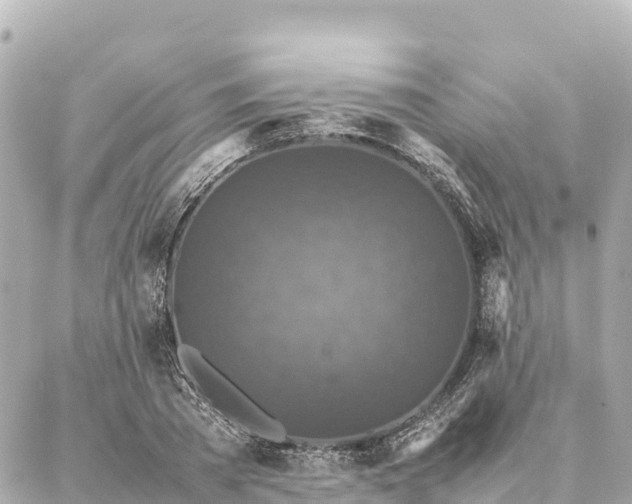 X0000087060785200704251028