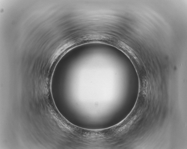 X0000087060786200704251028