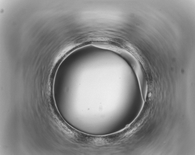 X0000087060787200704251028