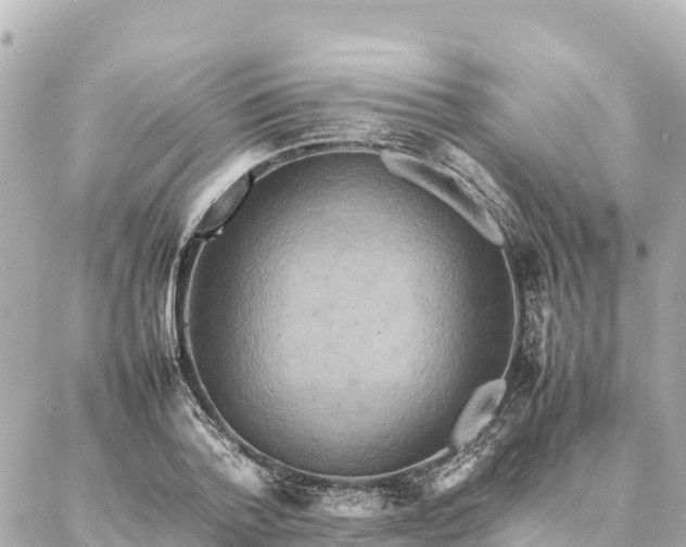 X0000087060788200704251028