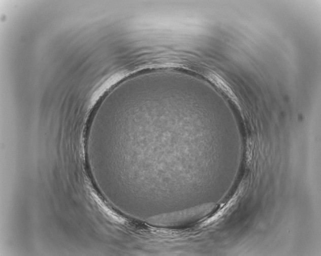 X0000087060789200704251028