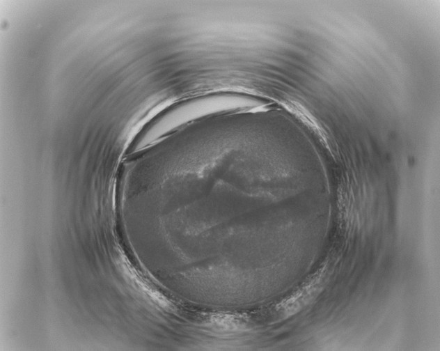 X0000087060790200704251028