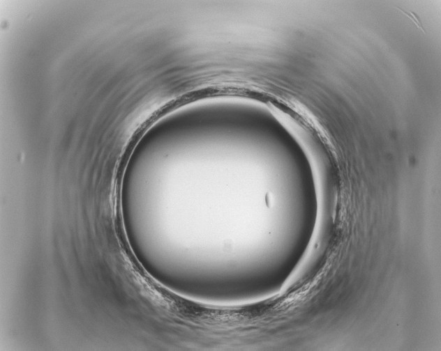 X0000087060791200704251028