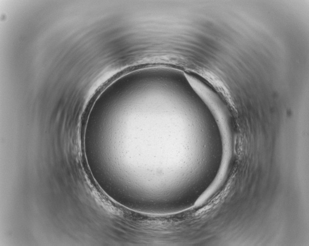 X0000087060792200704251028