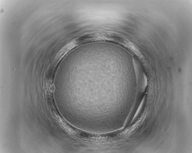 X0000087060793200704251028