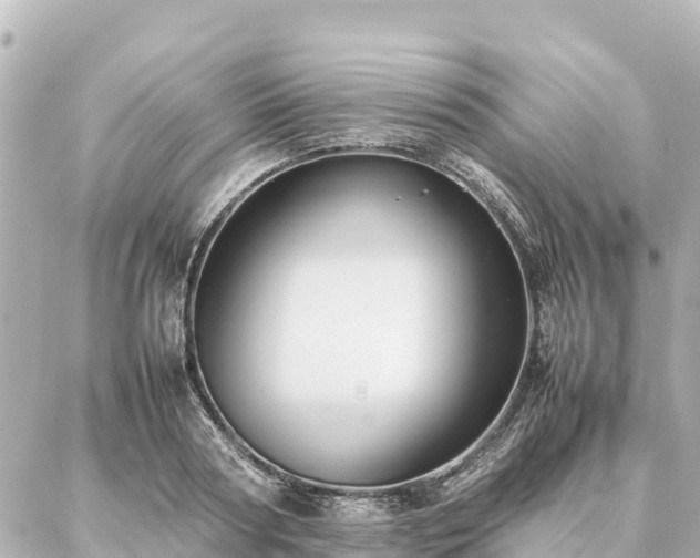 X0000087060794200704251028