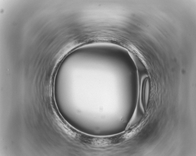 X0000087060795200704251028