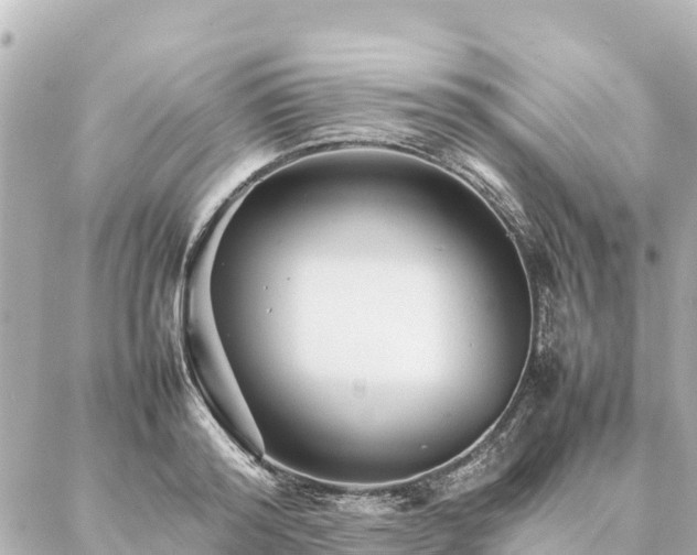 X0000087060796200704251028