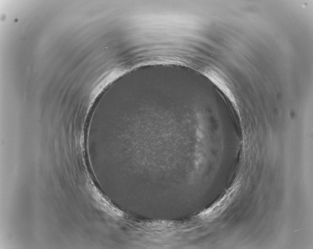 X0000087060797200704251028